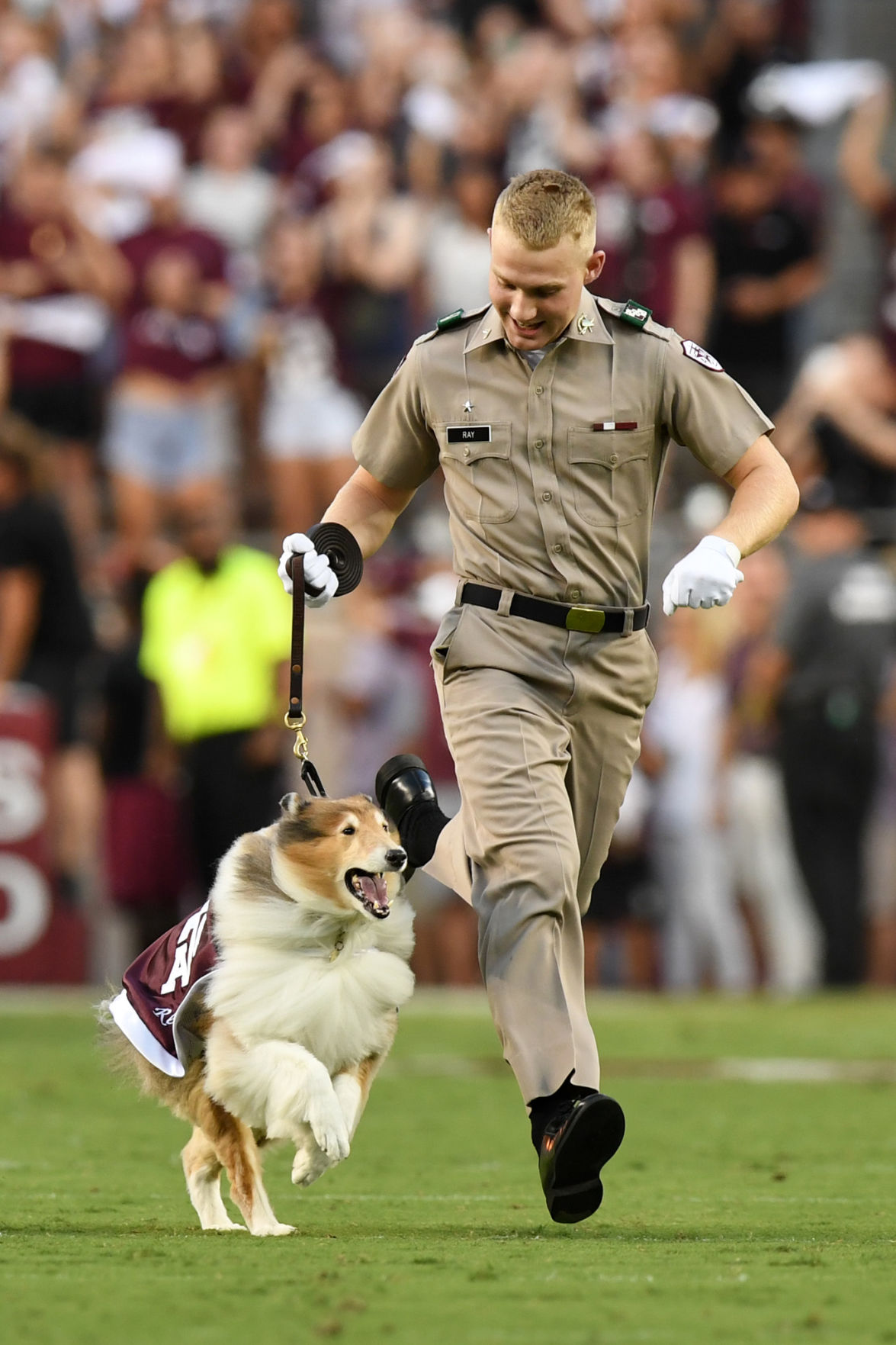 Texas A&M vs. Texas State football